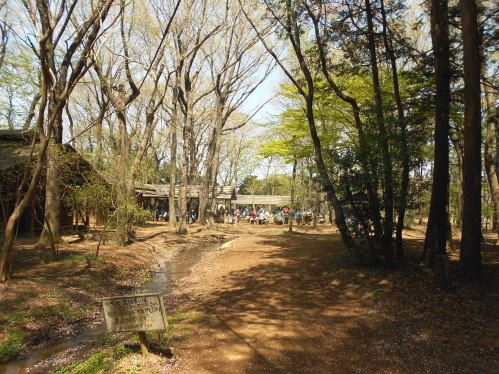 茨城県：【豊里ゆかりの森キャンプ場】自然を満喫できるファミリー向けキャンプ場！
