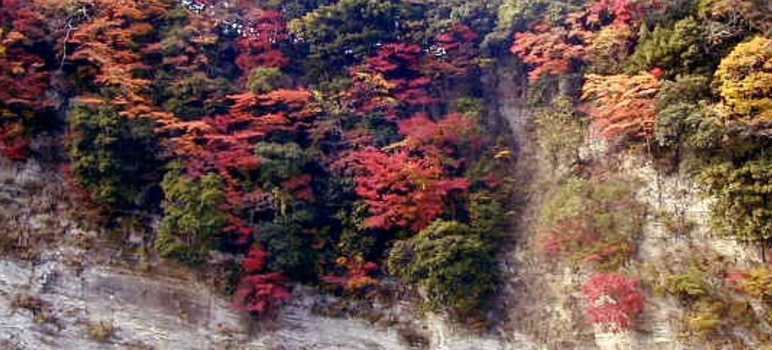 千葉県：【亀山湖オートキャンプ場】ガチ勢向き？リーズナブルに自然を満喫できるキャンプ場！